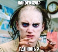 какого хуя? Где конь ?