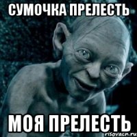 Сумочка прелесть моя прелесть