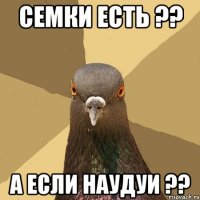 Семки есть ?? А если наудуи ??