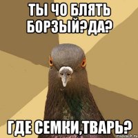 ТЫ ЧО БЛЯТЬ БОРЗЫЙ?ДА? ГДЕ СЕМКИ,ТВАРЬ?