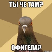 ты че там? офигела?