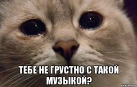  тебе не грустно с такой музыкой?