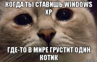 когда ты ставишь windows xp где-то в мире грустит один котик