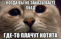 Когда вы не заказываете обед Где-то плачут котята