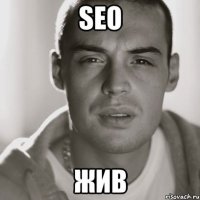 SEO ЖИВ