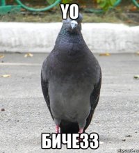 YO бичезз