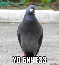  YO бичезз