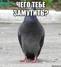 чего тебе замутить? 
