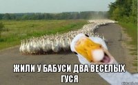  жили у бабуси два веселых гуся