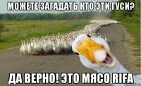 Можете загадать кто эти гуси? Да верно! Это МЯСО RIFA