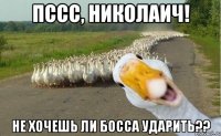 Пссс, Николаич! Не хочешь ли босса ударить??