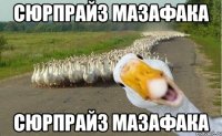 СЮРПРАЙЗ МАЗАФАКА СЮРПРАЙЗ МАЗАФАКА