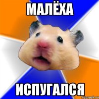 малёха испугался