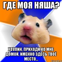 Где моя няша? Хоулин, приходи ко мне домой. Именно здесь твоё место...