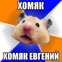 хомяк хомяк евгений