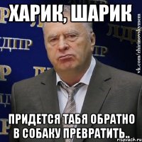 харик, шарик придется табя обратно в собаку превратить..