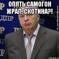 Опять самогон жрал, скотина?! 