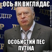 ОСЬ ЯК ВИГЛЯДАЄ ОСОБИСТИЙ ПЕС ПУТІНА