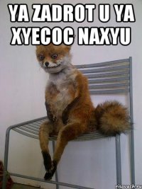 YA ZADROT U YA XYECOC NAXYU 