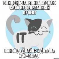 влицо начальника бросаю свой недоделанный проект какой дедлайн? Идите на х*й - обед!