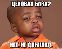 Цеховая база? Нет, не слышал.