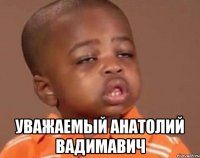  уважаемый Анатолий Вадимавич