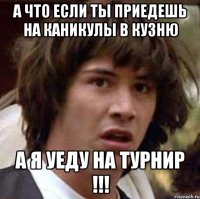 А что если ты приедешь на каникулы в кузню а я уеду на турнир !!!