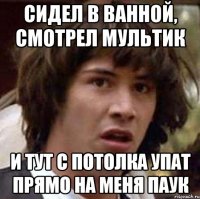 Сидел в ванной, смотрел мультик И тут с потолка упат прямо на меня паук