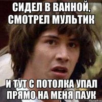 Сидел в ванной, смотрел мультик И тут с потолка упал прямо на меня паук