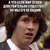 а что если мир Псаки действительно существует, но мы его не видим 