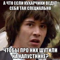 А что если Кухарчики ведут себя так специально Чтобы про них шутили на Капустнике?