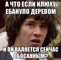 А что если илюху ебануло деревом и он валяется сейчас обосанным?