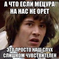 А что если Мецура на нас не орет Это просто наш слух слишком чувствителен