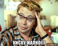  Киску жалко(((