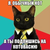 Я, обычный кот А ты подпишись на Котовасию