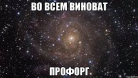 во всем виноват ПРОФОРГ