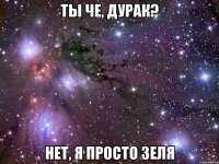 Ты че, дурак? Нет, я просто зеля