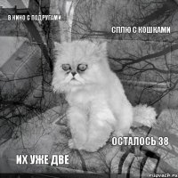 В кино с подругами Сплю с кошками Их уже две Осталось 38 