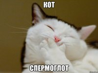 КОТ спермоглот