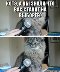 КОТЭ, а вы знали что вас ставят на Выборге? 