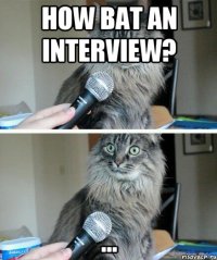 How bat an interview? ...