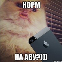 НОРМ НА АВУ?)))