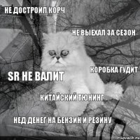 Не достроил корч НЕ выехал за сезон SR не валит Коробка гудит Китайский тюнинг Нед денег на бензин и резину