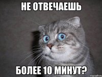 Не отвечаешь Более 10 минут?