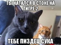 Ты катался в стоке на Тигре 2 Тебе пиздец сука