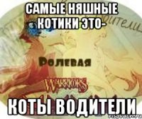 Самые няшные котики это- Коты водители