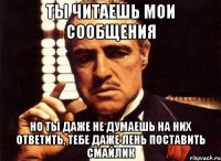 ты читаешь мои сообщения но ты даже не думаешь на них ответить, тебе даже лень поставить смайлик