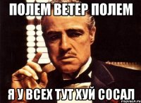 Полем ветер полем я у всех тут хуй сосал