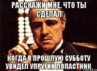 Расскажи мне, что ты сделал Когда в прошлую субботу увидел упругий лопастник
