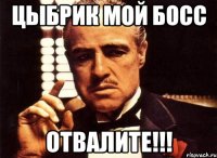 Цыбрик мой БОСС ОТВАЛИТЕ!!!